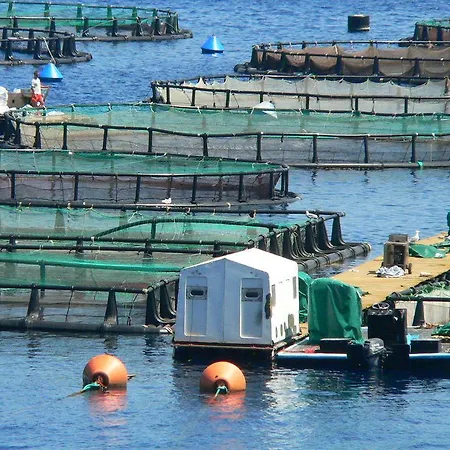 Bay Отель Апраос